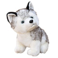 Husky Cuddle Buddy Plush Toy